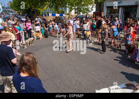 Primrose Hill, Londres, 18 mai 2014. Concurrents démontrer leurs compétences à des chiens le Primrose Hill juste dog show comme les Londoniens profitez de la journée la plus chaude de l'année jusqu'à présent. Crédit : Paul Davey/Alamy Live News Banque D'Images