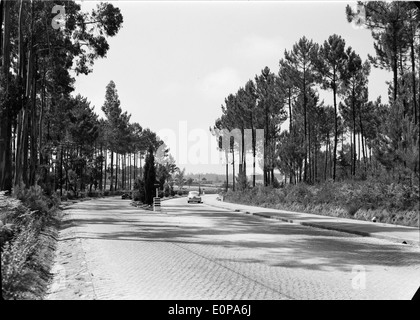 Le Automóvel Clube de Portugal (automobile Club du Portugal) est une organisation importante axée sur le développement de la culture automobile et des transports au Portugal. Il offre des services aux conducteurs et promeut la sécurité routière. Banque D'Images