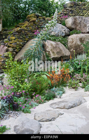 Londres, Royaume-Uni. 17 mai, 2014. Rock et côtières de l'ensemencement dans le jardin conçu par Alan Titchmarsh en collaboration avec Kate Gould. Le jardin 'sur les Maures à la mer" fête ses 50 ans dans le commerce horticole pour Mr Titchmarsh et le 50e anniversaire de la Grande-Bretagne en fleur. Banque D'Images