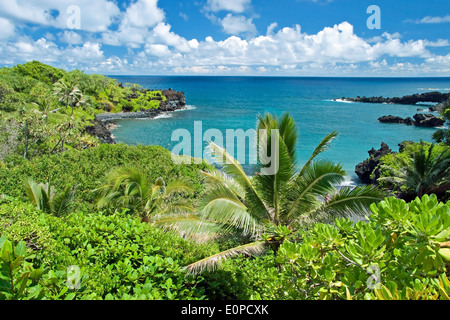 Hawaii paradise sur l'île de Maui Banque D'Images