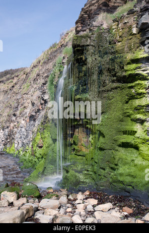 Une chute d'eau à Kimmeridge Bay, Dorset, Angleterre, Royaume-Uni Banque D'Images