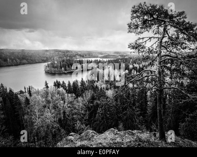 Vue sur le lac spectaculaire en noir et blanc à l'Aulanko nature conservation park en Finlande Banque D'Images