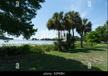 Lake Griffin à Leesburg, Central Florida rivage. Banque D'Images