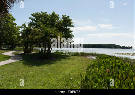 Lake Griffin à Leesburg, Central Florida rivage. Banque D'Images