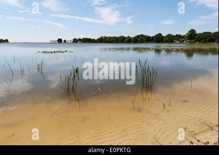 Lake Griffin à Leesburg, Central Florida rivage. Banque D'Images