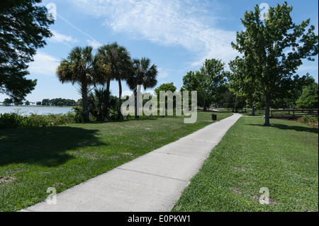 Lake Griffin à Leesburg, Central Florida rivage. Banque D'Images