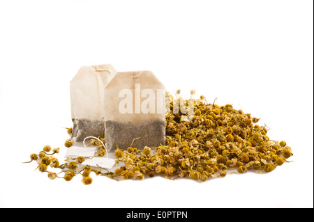 Les sachets et fleurs de camomille on white Banque D'Images