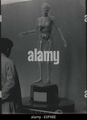 Avril 04, 1957 - ''Femme'' en verre sur l'exposition à Paris : le célèbre verre allemand ''Femme'' est présentée à l'exposition de la nature et de la santé'' qui se déroulent à Paris. Ce verre Figure montrant tous les organes humains à Musée d'Histoire Naturelle. La photo montre femme verre sur Show à Paris. Banque D'Images