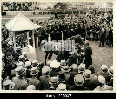 Juin 06, 1957 - Journée du Derby à Epsom.. ''Unsaddling Crepello'' en pièce jointe : photo montre : ''Crepello'' dans le boîtier unsaddling - après avoir remporté le Derby 1957- monté par Lester Piggott à Epsom cet après-midi. Banque D'Images