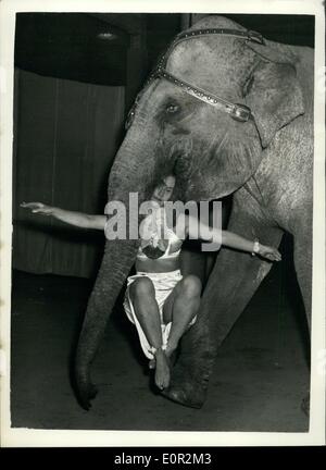 Le 12 décembre 1957 - Noël à répéter pour l'Olympia Circus : Rita Veau, 18 ans, de Northolt, avec sa tête dans la bouche d'un éléphant s'effectue autour de l'anneau du cirque. Cela fait partie de l'éléphant Ballet présenté par Doreen Duggan. Banque D'Images