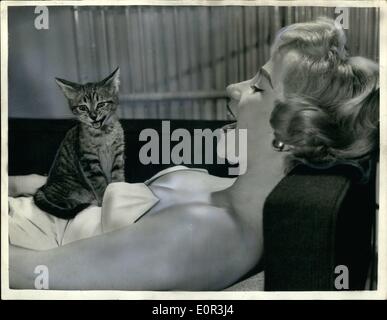 Novembre 11, 1957 - assez pour faire rire d'un chaton. Jolie jeune femme de Hambourg vit maintenant en Angleterre. : Sur des plus bruissement-après Banque D'Images