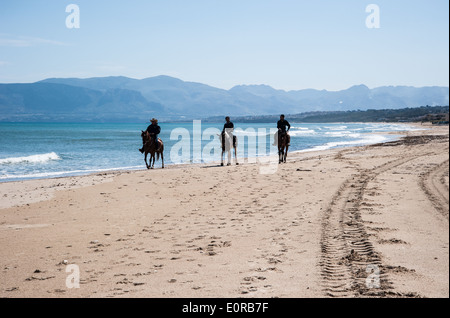 Chevaux sur la mer Banque D'Images