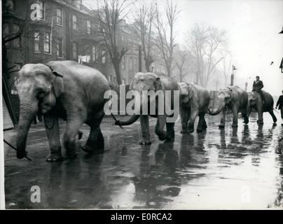 12 déc., 1958 - animaux arrivent pour Bertram Mills Circus : photo montre une ligne d'éléphants en photo arrivant à Olympia aujourd'hui, où les Bertram Mills Circus s'ouvre le 19 décembre. Banque D'Images