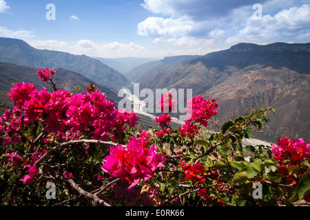 Canyon Chicamocha, Parc National Chicamocha, Colombie. Banque D'Images