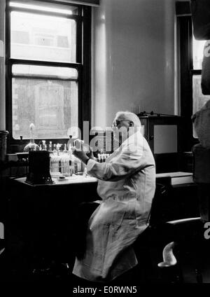 Alexander Fleming biologiste travaille dans son laboratoire Banque D'Images