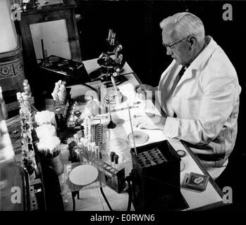 Alexander Fleming biologiste travaille dans son laboratoire Banque D'Images