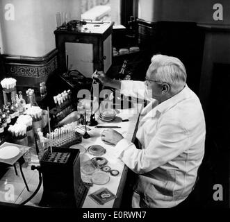 Alexander Fleming biologiste travaille dans son laboratoire Banque D'Images