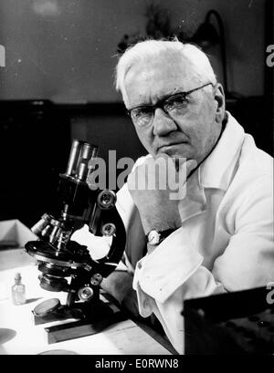 Alexander Fleming biologiste travaille dans son laboratoire Banque D'Images