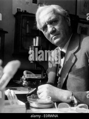 Alexander Fleming biologiste travaille dans son laboratoire Banque D'Images