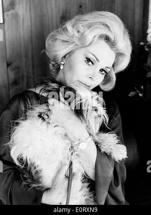 Portrait de l'actrice Zsa Zsa Gabor avec son chien Banque D'Images