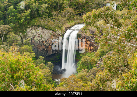 Ebor Falls sur la cascade cours en Nouvelle Galles du Sud. Banque D'Images