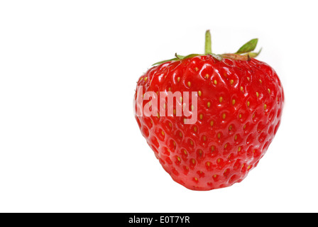 Fraises fraîches isolées sur fond blanc. Banque D'Images