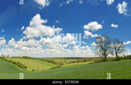 Vue à travers les dunes du nord de Chelsham à Biggin Hill, Kent. Banque D'Images