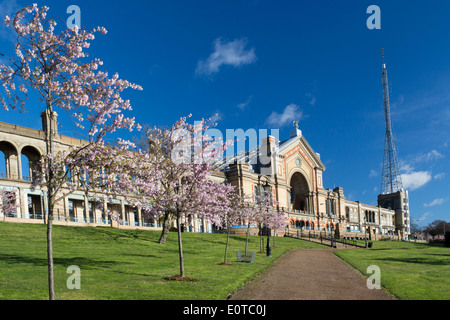 Alexandra Palace vue extérieure au printemps avec des fleurs roses sur les arbres Haringey Muswell Hill North London England UK Banque D'Images