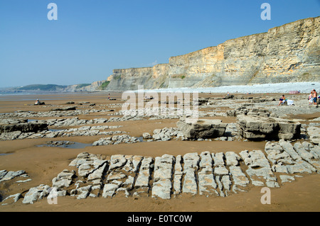 Lias des falaises de calcaire, Traeth Mawr, la côte du Glamorgan, Vale of Glamorgan, Pays de Galles, Royaume-Uni. Banque D'Images