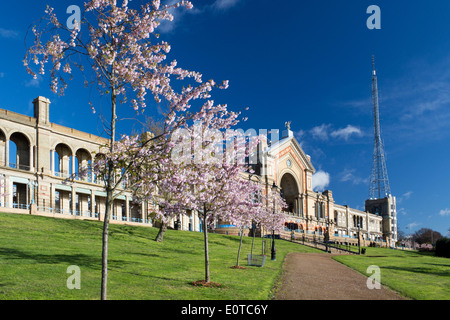 Alexandra Palace vue extérieure au printemps avec des fleurs roses sur les arbres Haringey Muswell Hill North London England UK Banque D'Images