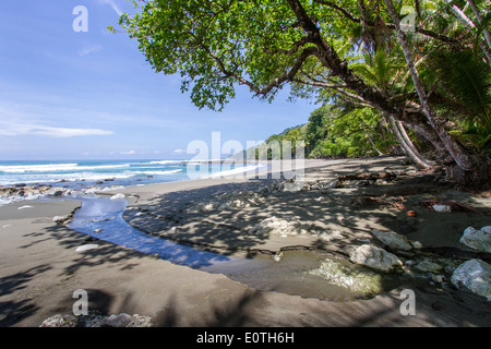 Petit ruisseau sur l'émergence pacifique plage du Parc national de Corcovado au Costa Rica Banque D'Images