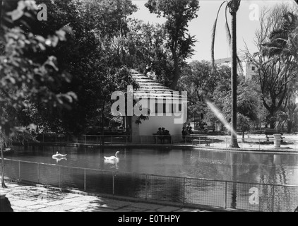 Jardim da Estrela à Lisbonne est un parc public connu pour son magnifique aménagement paysager et son importance historique. Mário Novais a capturé la beauté naturelle du parc, ses éléments de design et son importance en tant qu’espace culturel. Banque D'Images