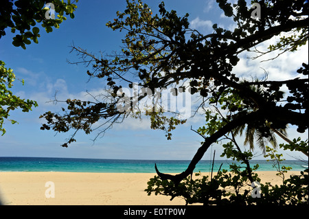 La Playa Grande, côte nord de la République Dominicaine Banque D'Images