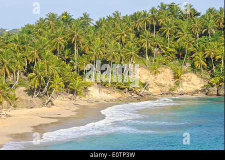 La Playa Grande, côte nord de la République Dominicaine Banque D'Images