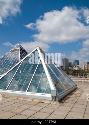 Une vue de la pyramides de verre de la Muttart Conservatory et le centre-ville d'Edmonton, Alberta, Canada, d'horizon. Banque D'Images