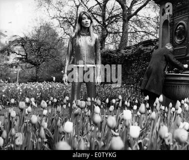 Singer Françoise Hardy debout dans un champ de fleurs Banque D'Images