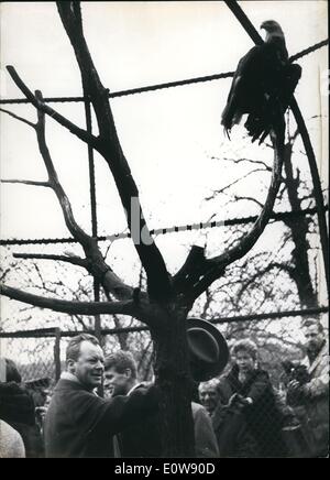 10 févr. 02, 1962 - Robert F.Kennedy à Berlin ouest : Aujourd'hui à la Zoo de Berlin, le procureur général Robert F.Kennedy a donné plus qu'un présent un aigle hwo à propos des armoiries shield Robert F.Kennedy a donné cette eagle le nom ''Willy Brandt''. Photo montre avec hat Le Maire Willy Brandt, à droite de lui Robert F.Kennedy et obstairs l'aigle '' Willy Brandt' Banque D'Images