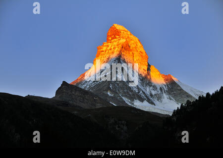 Sommet du Cervin, 4478 m, éclairé au lever du soleil, Zermatt, Valais, Suisse Banque D'Images