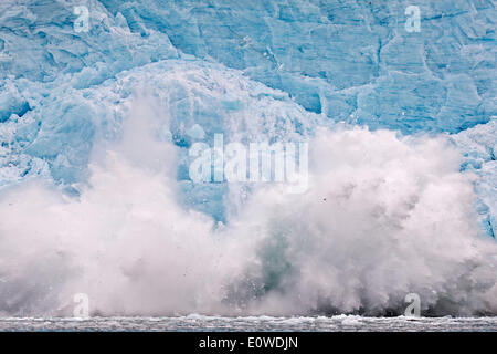 Glacier de mise bas, bord du Glacier, Liefdefjorden Monacobreen, Spitsbergen, Svalbard, îles Svalbard et Jan Mayen (Norvège)