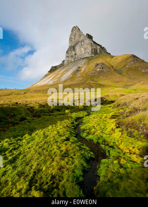 Montagne Alkhornet, Trygghamna bay, fjord Isfjorden, Spitsbergen, Svalbard, îles Svalbard et Jan Mayen (Norvège) Banque D'Images