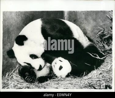 Le 12 décembre 1963 - Premier Panda Géant né en captivité : un panda géant, l'un des rares animaux, est né dans le Zoo de Pékin. C'est le premier panda géant jamais d'être né en captivité, et il est maintenant plus de deux mois. Le zoo de Pékin a eu plus de 10 pandas géants, mais n'a que récemment tenté de les élever. Grand Zoo d'Europe et d'Amérique ont eu une dizaine de pandas géants mais ont tenté de les élever en vain. Banque D'Images