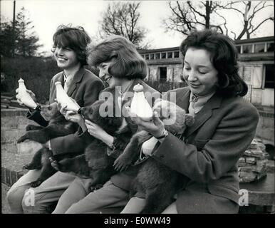 Mar. 03, 1964 - Trois petits ours appelé Cilia, George et Ringo. : faire leurs débuts pour les caméras au zoo de Whipsnade hier avait trois neuf semaine brown oursons européenne. La petite fille a été nommée moyeu Cilia, après succès ''pop'' singer Cilia noir, et les deux garçons ont été nommés et George Ringo après que des membres des Beatles. Photo montre Cilia, George et Ringo en aux affaires sérieuses de boire leur lait hier à. Whipsnade Banque D'Images