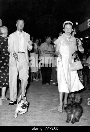 Le duc et la duchesse à pied leurs chiens en vacances Banque D'Images