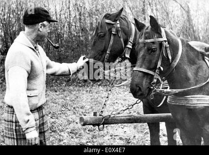 Le duc de Windsor les chevaux pour enfants Banque D'Images