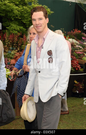 Londres, Royaume-Uni. 19 mai, 2014. Benedict Cumberbatch au RHS Chelsea Flower Show VIP et appuyez sur Jour dans l'enceinte de l'Hôpital Royal de Chelsea, Londres le 19 mai 2014 Crédit : KEITH MAYHEW/Alamy Live News Banque D'Images