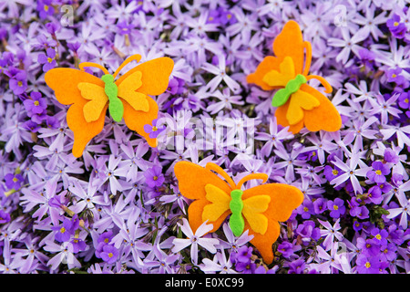 Sentir les papillons orange au-dessus d'une mer de fleurs violet Banque D'Images