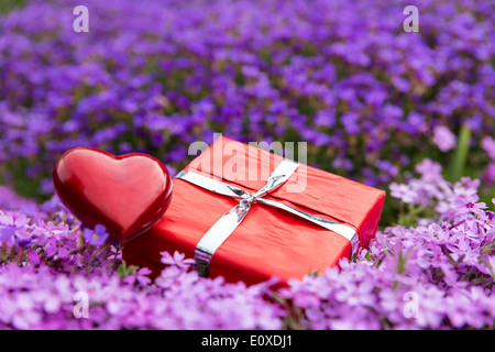 Carte cadeau magnifique champ de fleurs avec du rouge présent et coeur Banque D'Images