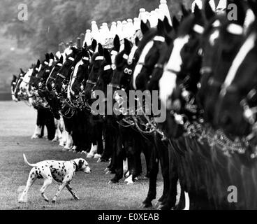 L'inspection des Household Cavalry Regiment Banque D'Images