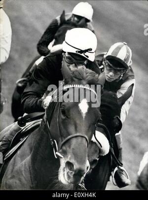 10 octobre 1966 - Barclay sable-va-t-il être le nouveau Lester Piggott ? Le dernier garçon merveille du turf est une plage de sable, 18 Rarclay qui l'an prochain est prévu à l'étape en bottes d'équitation de l'Lsster Jockey Champion Piggott au écuries de Newmarket Noel top trainer Murless - qui depuis le pic avec Piggett cette saison a été à la recherche d'un successeur-en juste quelques mois Barceay cette saison a monté 66 gagnants, et il est toujours un des apprentis. La photo montre la plage de Barclay, droit, la préparation de venir à travers à l'intérieur de gagner encore une autre race. Banque D'Images