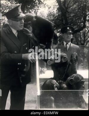 31 mai 1967 - répétition générale pour le goûter de chimpanzés au Zoo. Une répétition a eu lieu aujourd'hui pour la fameuse "Chimpanzee ''Tea Party'' au Zoo de Londres. Le parti est constitué ou trois filles et un garçon de 6 ans ''Winnie'', 4 ans 'Tina', 4 ans, ''Jane'' et 5 ans ''Rastus''. C'était la dernière fois que le gardien chef William (Bill) Peckett a dirigé les répétitions, car il prend sa retraite le 30 juin. de juin après 43 ans de service au Zoo. Lorsque le temps est clément, les chimpanzés, 'Tea Party aura lieu en semaine et le dimanche à 4h le Tea Party pelouse, à partir de demain, 1er juin Banque D'Images